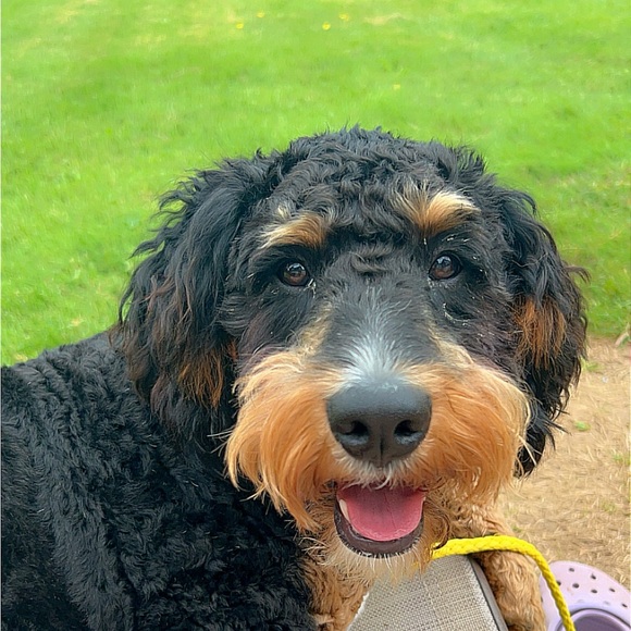 Make me an offer!!!! Closet SALE!!!!! - Picture 1 of 1